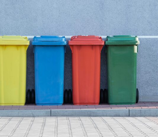 Green Party Co-Leader Blames Government For Bin Strike