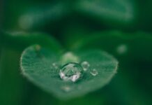 Brighton Named One Of The Top Greenest Cities In The Country