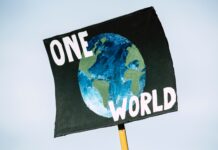 Brighton’s Green Council Leader Apologises For Climate Conference Flight
