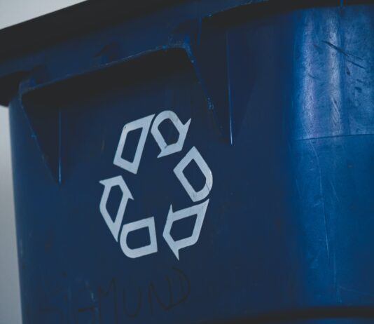 Brighton Has One Of The Worst Recycling Record In The Country