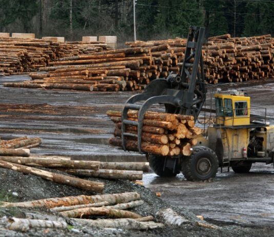Will a Shift From Fossil Fuels to Wood Products Help Us Meet Climate Goals?