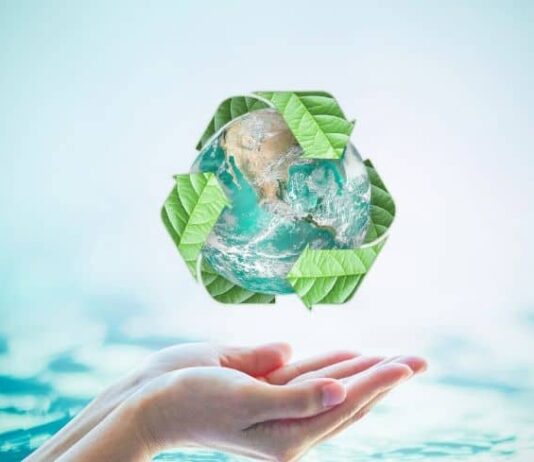 Simple Ways to Will Make Your Home More Eco-Friendly in 2022