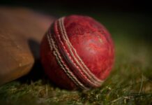 How Sussex Might Decide the Fate of the 2021/22 Ashes
