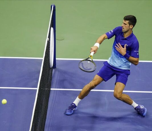 Novak Djokovic -Divided Opinion