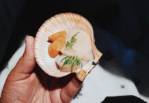 The Best Seafood Dives In Brighton
