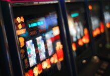 VB Discovering the different slot game themes