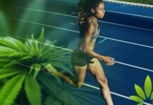 Athletes and CBD: the benefits of cannabis in sports