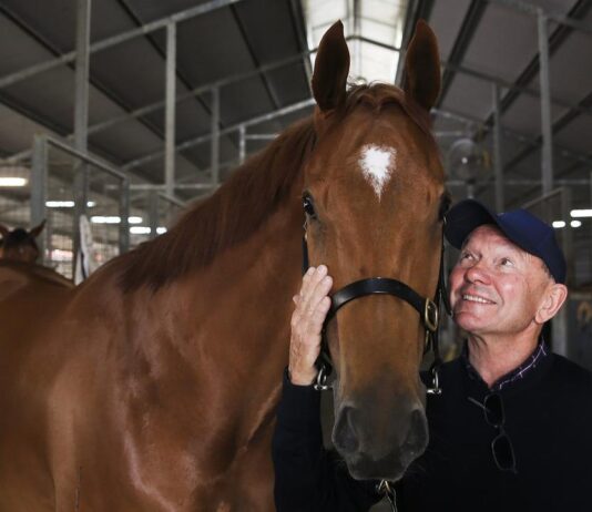 A look back at A Plus Tard’s Gold Cup success in 2022