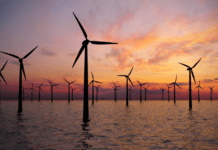 Can Windturbines breathe life into the earth’s warming seas