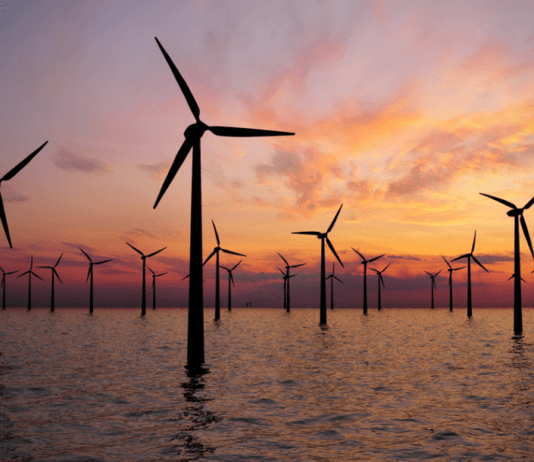 Can Windturbines breathe life into the earth’s warming seas
