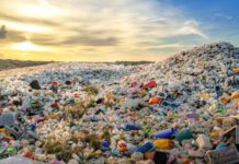 Plastic polluters in your cupboards
