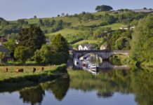 Summer Holidays on The River Dart
