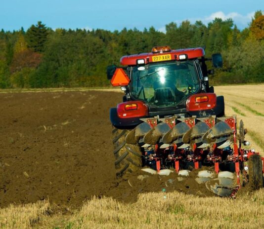 Why British farmers are being offered a lump sum payment to leave the industry –