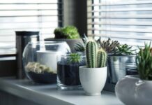 6 Ways To Efficiently Improve Your Premises As A Business Owner