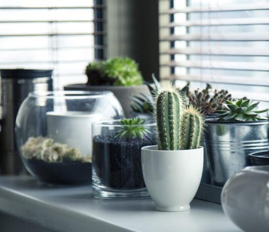 6 Ways To Efficiently Improve Your Premises As A Business Owner
