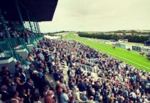 Jockeys and Trainers to Look out for at Brighton Races