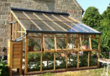 Eco-Friendly Living in Brighton: How New Builds are Shaping a Greener Future