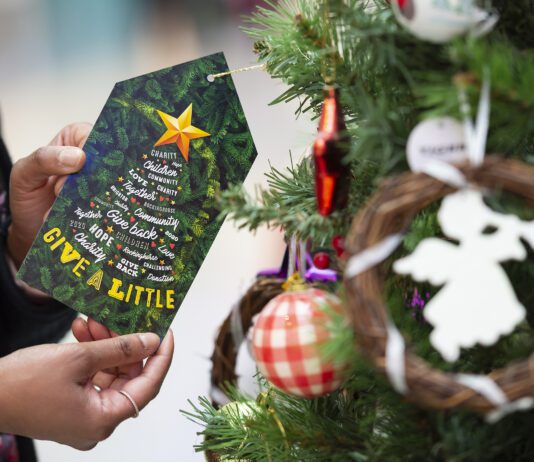 Giving Tree appeal returns to Churchill Square