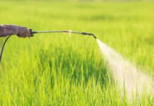 Greens demand urgent action on ‘shambolic’ and Toxic glyphosate opt-out scheme