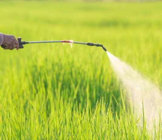 Improving the Agricultural Sector Through the Development of Herbicides