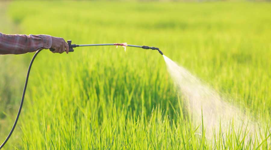 Improving the Agricultural Sector Through the Development of Herbicides ...