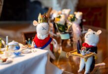 Enjoy some art, culture and traditional Christmas festive fun at Brighton & Hove Museums