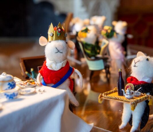 Enjoy some art, culture and traditional Christmas festive fun at Brighton & Hove Museums