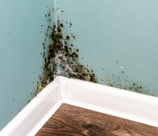 Can Flooding Cause Mould To Grow?