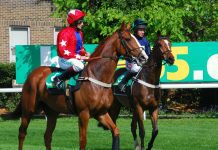 Sire De Grugy – Gary Moore’s One In A Million
