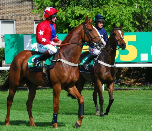 Sire De Grugy – Gary Moore’s One In A Million