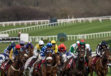 Cheltenham Festival icons: Stars of the last five years