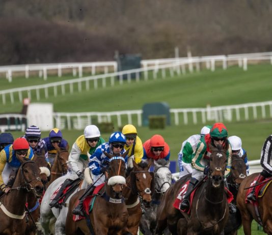 The Business of Betting: How Cheltenham Festival Impacts the UK’s Economy
