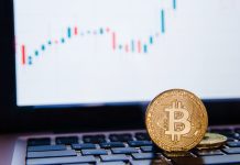 Who are Institutional Investors, and What Crypto Do They Buy?