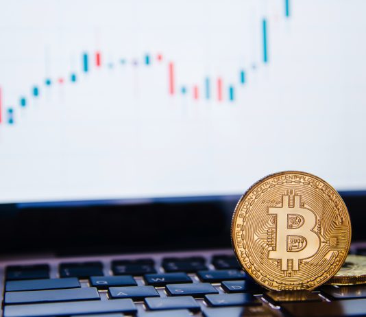 Who are Institutional Investors, and What Crypto Do They Buy?