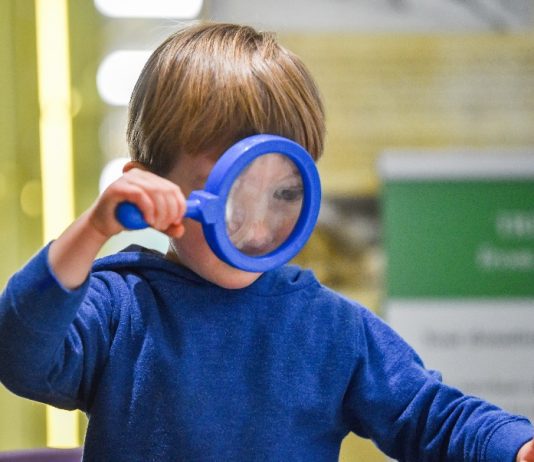 Booth Museum of Natural History invites children to take part in the Wild Escape
