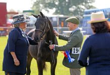 Thrilling fun and countryside delights in the sun at this year’s South of England Show