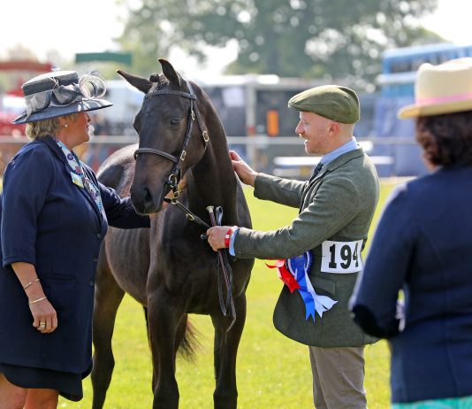 Thrilling fun and countryside delights in the sun at this year’s South of England Show