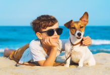 BRIGHTON-BASED TRUSTEDHOUSESITTERS CELEBRATES GROWTH AS 79,000 NEW PETS ARE ADDED TO PLATFORM