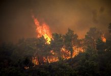 Fires Continue Throughout Greece
