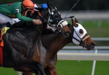 Grand National Trio Worth a Look after Ascot Surprises