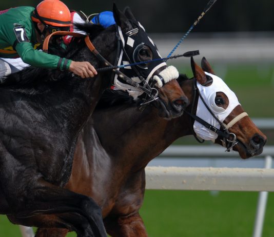 Grand National Trio Worth a Look after Ascot Surprises