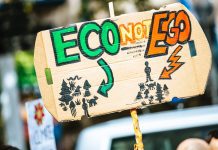 The Impact of Local Activism on Environmental Conservation