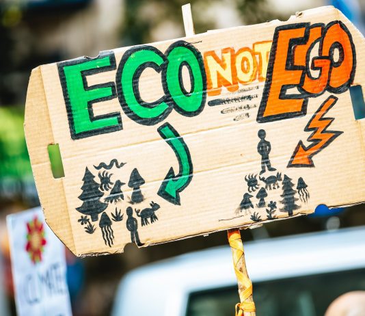 The Impact of Local Activism on Environmental Conservation