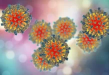 Why the Uk Maybe At Risk of An Outbreak