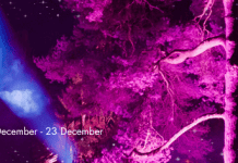 City Set to Sparkle with New Winter Light Experience: The Brighton Lights