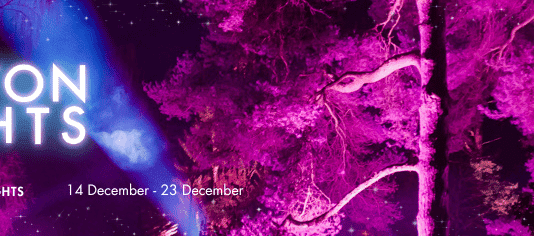 City Set to Sparkle with New Winter Light Experience: The Brighton Lights