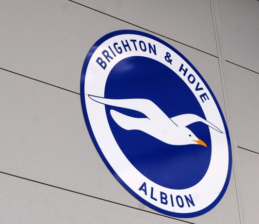Anticipating Brighton FC’s Premier League journey: what lies ahead?