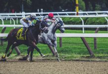 New Horse Racing Betting Sites UK: A Comprehensive Guide