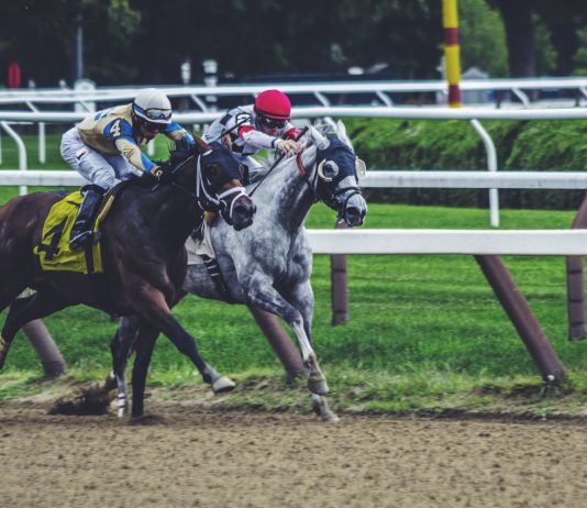 New Horse Racing Betting Sites UK: A Comprehensive Guide