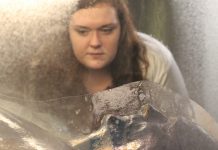 New work by Mellissa Monsoon explores invisible symptoms at Phoenix Arts Space-Brighton